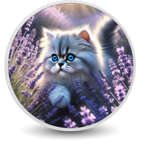 Sogni di lavanda: moneta da 1 oz "Il vagabondo dagli occhi azzurri"