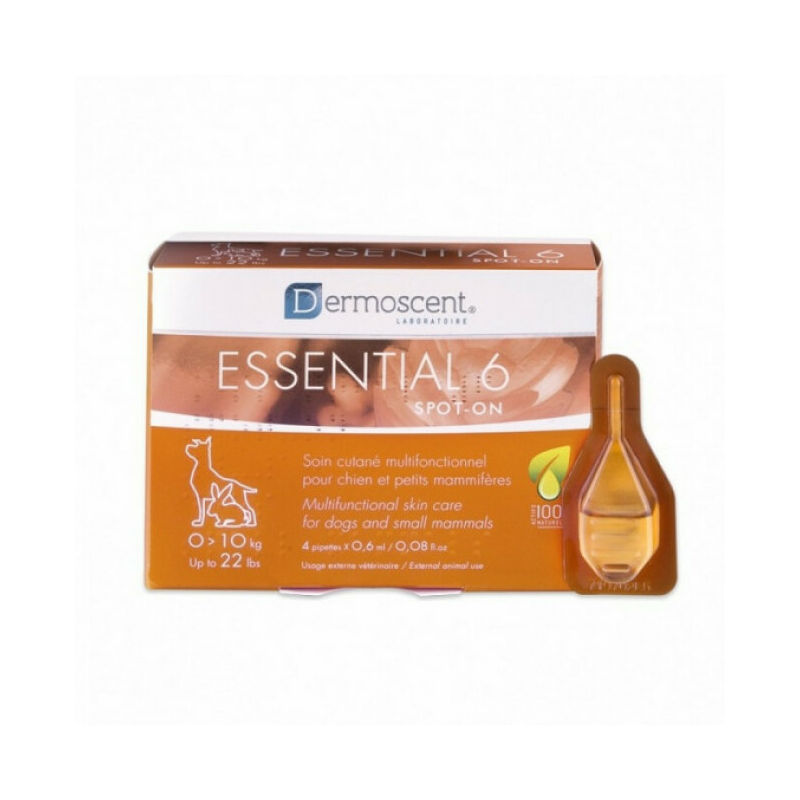 Essential 6 soins cutanés pour chiens 1/10 kg Boîte de 4 Pipettes - Dermoscent