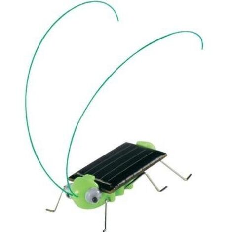 Sol Expert 46125 Grillo solare