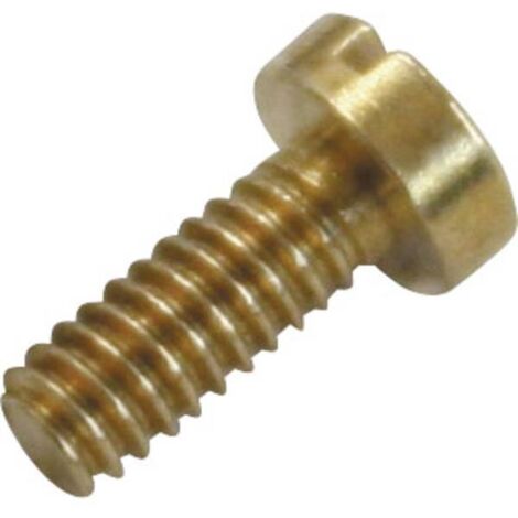 Sol-expert Micro-viti in ottone 5 mm confezione da 25 pezzi