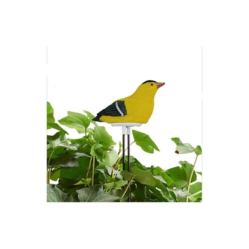 Sol Humidim¨¨Tre Alarme D'Arrosage Testeur D' des Plantes D'Oiseaux Capteur Hygrom¨¨Tre Trousse de Jardinage pour Planteur Rappelez Warining Alerte
