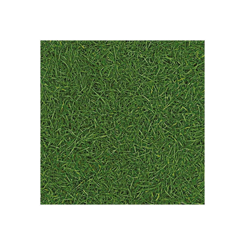 Sol Vinyle Nature - imitation Gazon - Rouleau de 2m x 4m
