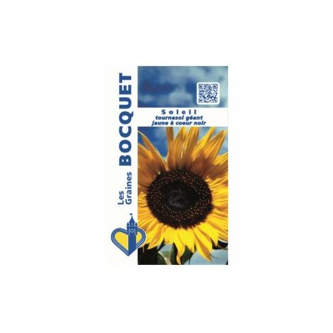 Soleil tournesol géant jaune cœur noir – Plante annuelle 80 cm à 2 m – Semis d'avril à juin – Exposition chaude et ensoleillée – Graines Bocquet