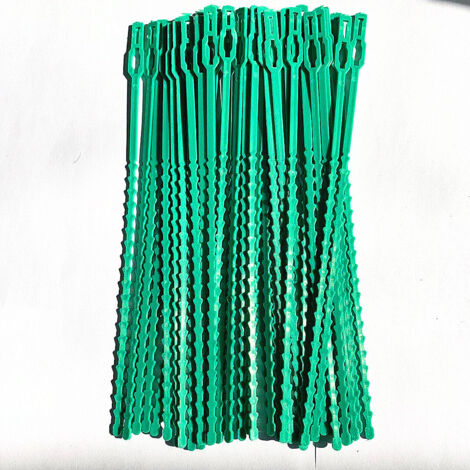 Sollbry Bridas para plantas, 100 unidades, 22 cm, para ayudar a las plantas a crecer y trepar.
