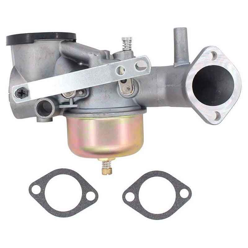 Carburateur avec joint pour moteur Briggs & Stratton 491031 490499 491026 281707 12HP - Sollbry