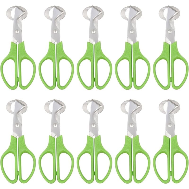 Sollbry - Ciseaux à Oeufs de Caille en Acier Inoxydable pour Couper les Coquilles D'Oeufs Ciseaux à Oeufs pour la Maison, le Restaurant et la