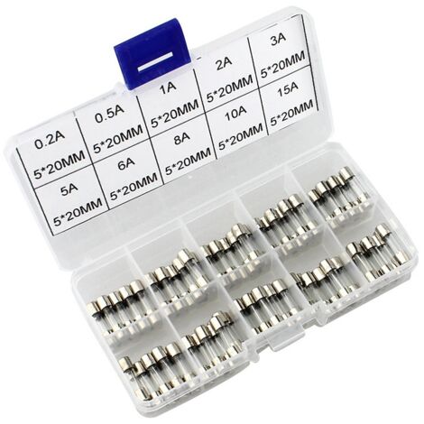 Sollbry Juego de 100 fusibles de vidrio de acción rápida (20 x 5 mm) con caja de fusibles de plástico transparente.