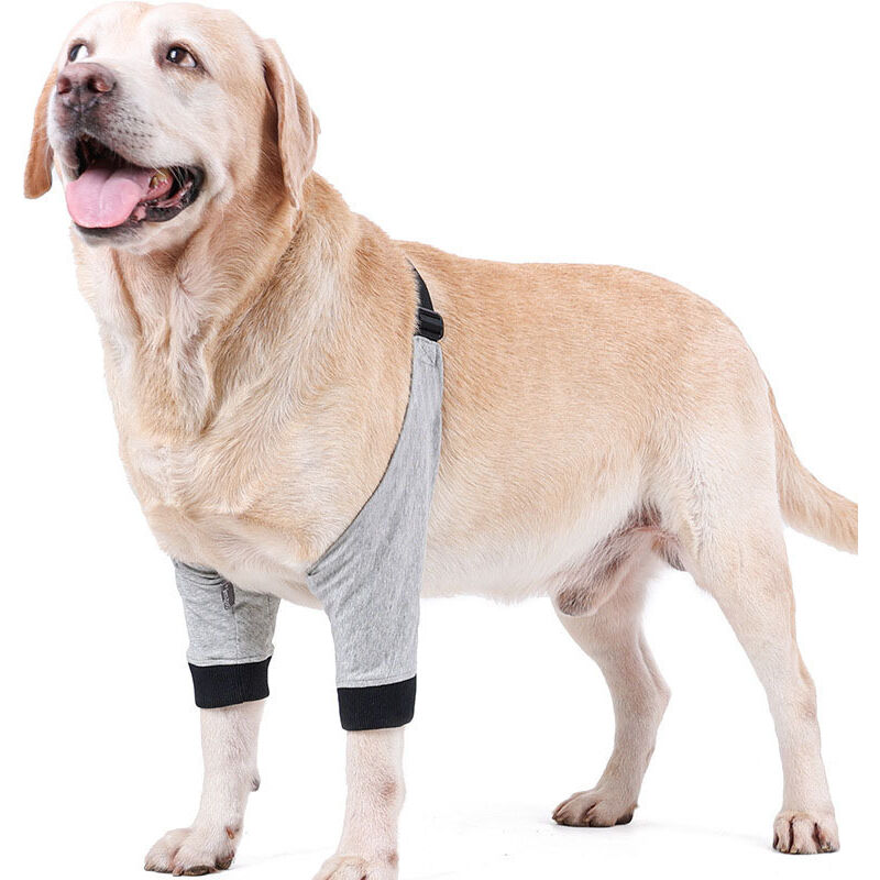 Manchon de récupération de chirurgie pour pattes avant de chien - Protection de manchon de récupération des pattes avant de chien - Genou pour