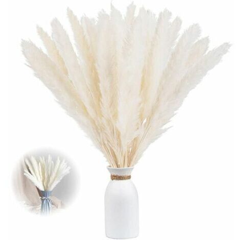 Sollbry Paquet de 30 vases de fleurs séchées artificielles d'herbe de pampa séchée de 60 cm, décoration d'herbe de pampa et fleurs séchées, herbe de pampa naturelle, herbe de pampa séchée, roseau séch