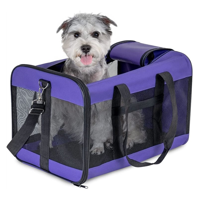 Sac De Transport Chat/Sac De Transport Chien pour Chats, Petits Chiens, Chatons Ou Chiots, Souple et Pliable avec Tapis en Laine pour Voyage en