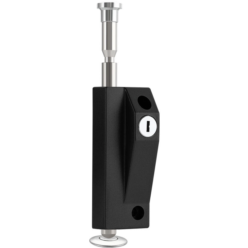 Sollbry - Verrou de porte multi-usage, verrou de porte de garage, serrure de portail, serrure de porte universelle, livré avec 2 clés, pour