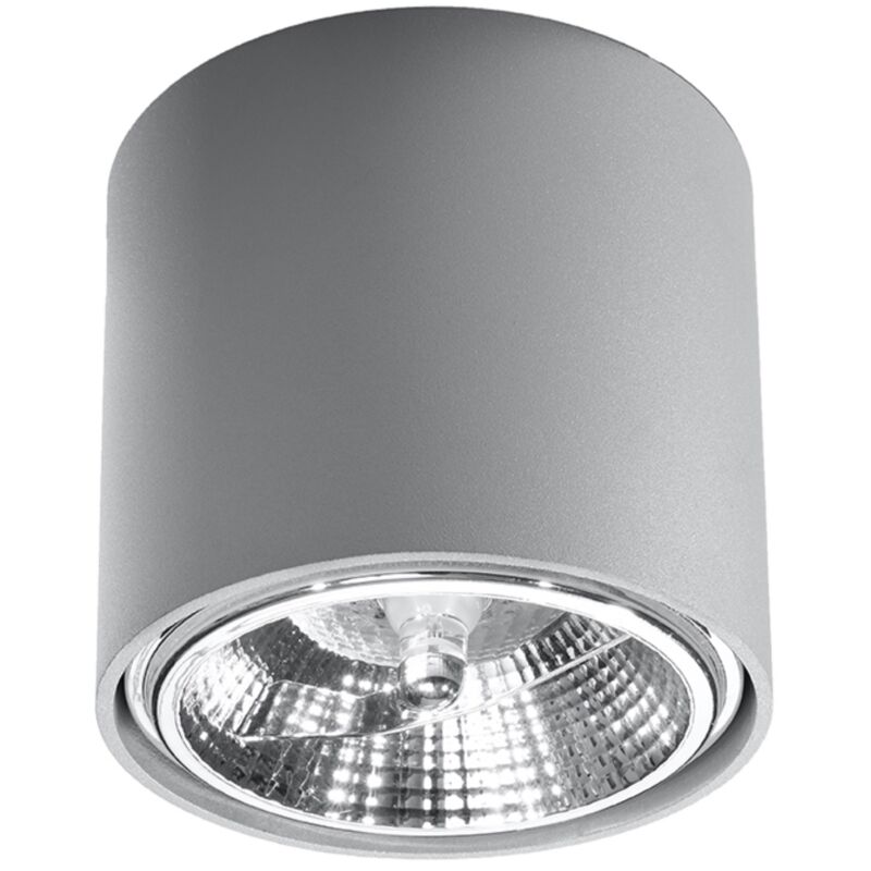 Image of Tiube gray ceiling lamp