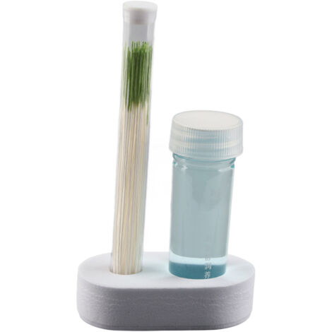 Solution de Nettoyage pour Piercings d'Oreille 15ml - Soin Après-Percage à la Menthe