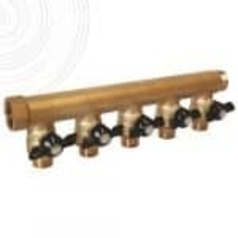 Collecteur sanitaire monobloc m-f 3/4' + mini-vannes 5 départs 1/2'