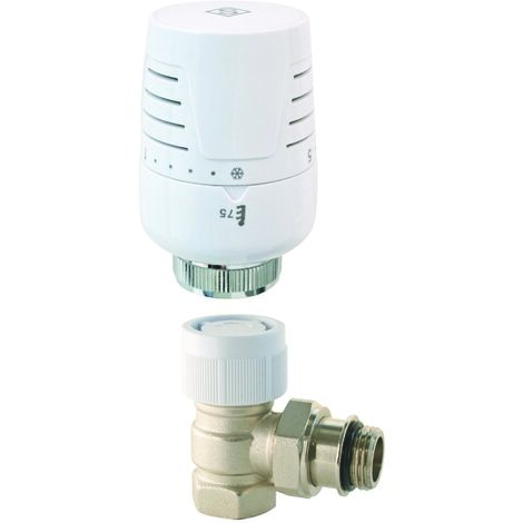 Somatherm For You – Robinet thermostatique équerre 3/4 en laiton nickelé – Plage de température 6°C à 28°C – Filetage M30x1,5 – Joint torique étanche