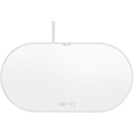 Somfy 1870755 - Connectivity Kit