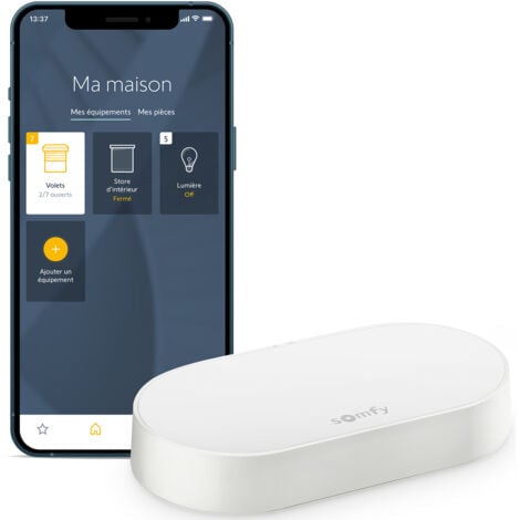 SOMFY 1870755 - Kit de connectivité - Pilotez les moteurs et l'éclairage SOMFY par smartphone - Compatible moteurs io & RTS - Contrôle à la voix via l'Assistant Google, Amazon Alexa, HomeKit