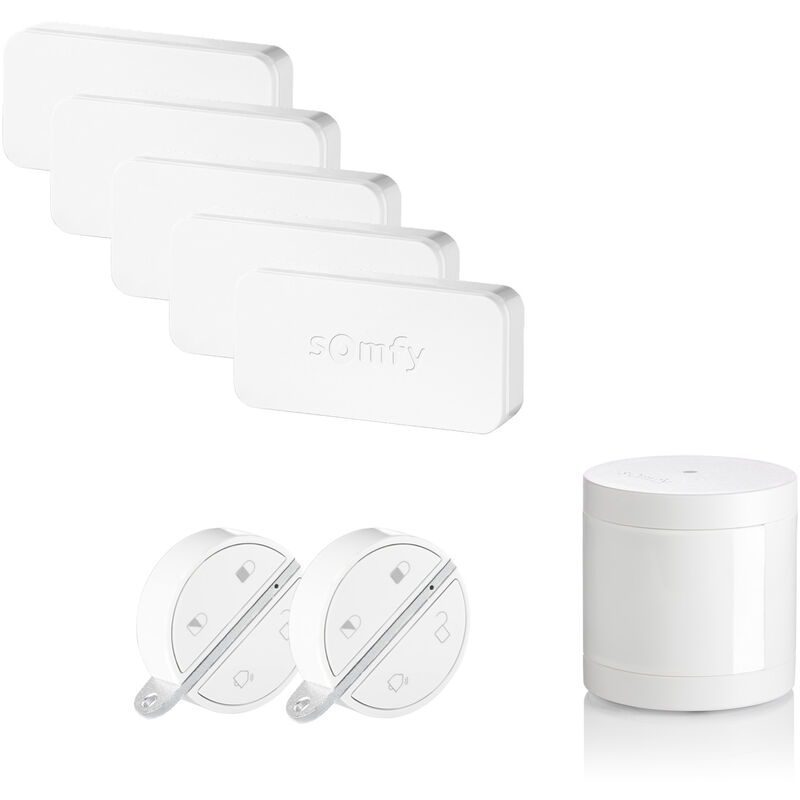 Somfy - 1875300 - Pack accessoires Integral Home Alarm - Avec 4 détecteurs IntelliTAG, 2 badges télécommandes et 1 détecteur de mouvement
