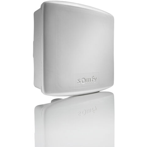 SOMFY 2400583 - Récepteur d'éclairage extérieur RTS 500W - Compatible TaHoma (switch)