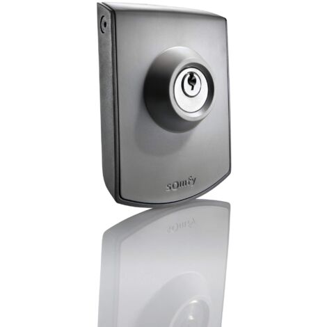 Somfy 2400597 - Comando a chiave cablata  Contatto chiave per motore di cancello o garage  Contatto secco