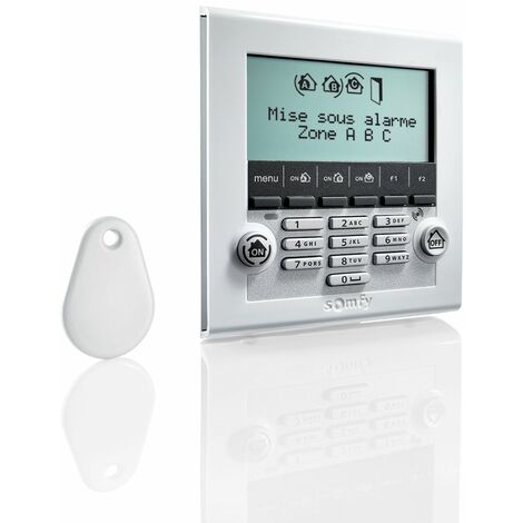 SOMFY 2401013 - Clavier de commande avec lecteur de badge - Ecran LCD - Fourni avec 1 badge - Compatible avec les alarmes Protexiom et Protexial