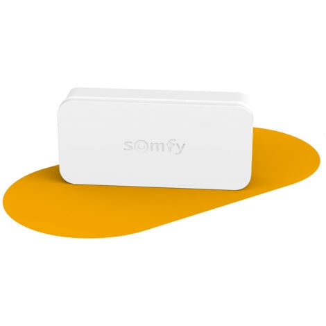 SOMFY 2401487 - IntelliTAG - Détecteur auto-protégé de vibration pour intérieur ou extérieur - Détection avant l'ouverture - Compatible One (+) & Home Alarm (Advanced et Essential)