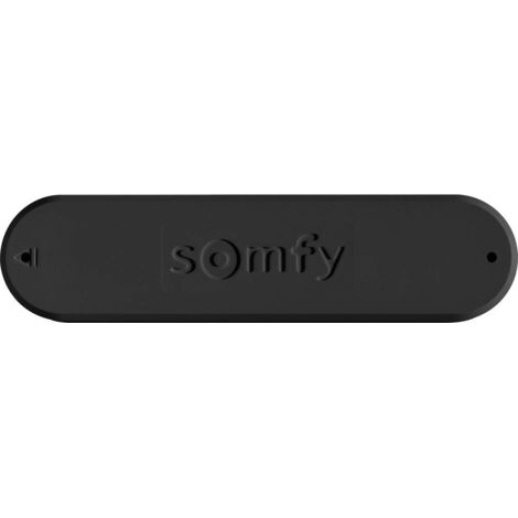 Somfy 9016354 Capteur de vent