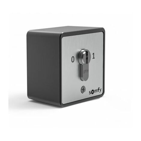 Somfy – Contacteur à clé universel en saillie fixe – Mode de pose électricité – Pour portails et volets roulants – Boîtier métallique laqué