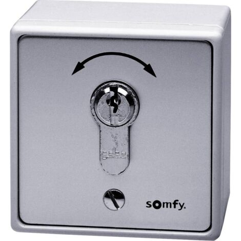 Somfy Interruptor con llave gris para motorización de portón