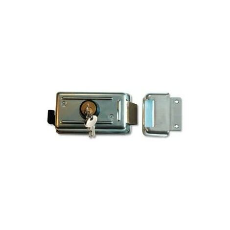 Somfy – Serrure électrique avec canon 24V – Gâche pour installation sur portes – Sécurisation renforcée pour accès professionnels