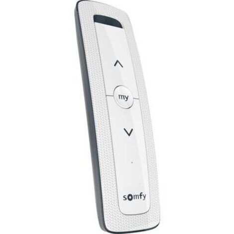SOMFY SITUO 1 io Arctic II