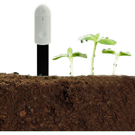 Sonda istantanea per l'umidità del terreno - Tester elettronico multifunzionale per giardini, piante da appartamento, bonsai e fiori