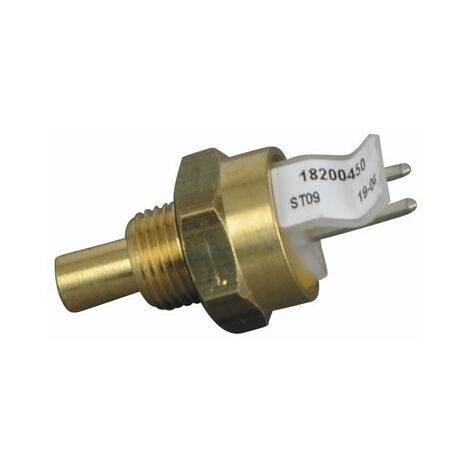 Sonde -10kOhm-25°C à visser 1/8 - AUER : B1243534