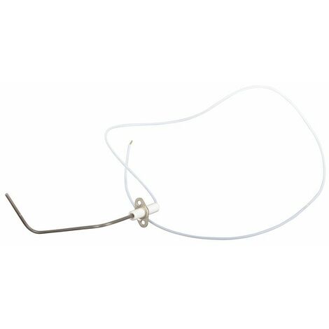 Sonde d&039ionisation - AOSMITH : 0305407(S)