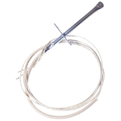 Sonde de température L 780mm