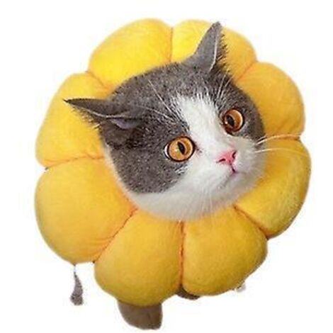 Sonnenblumenhalsband, weiches Baumwoll-Katzenhalsband, Bissfestes Katzenhalsband, Leckfreies Katzenhalsband nach Operationen, Halsband