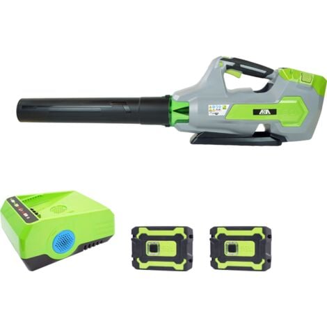 Greenworks Set Soplador de Hojas con Batería 40V + Cargador