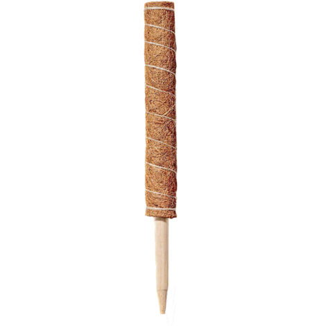 Soporte para cocoteros (soportes para musgo) – Caqui – 30/40/50/60 cm