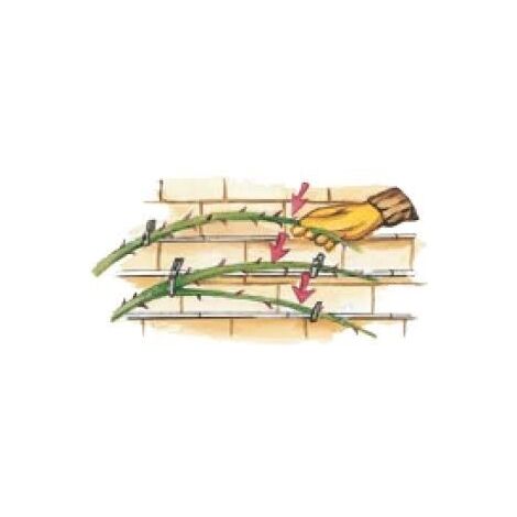 SOPORTE TREPADORA VERDE (15 PZ.