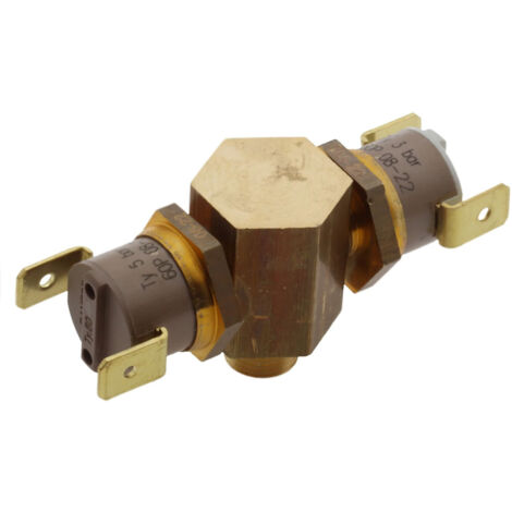 SOS Accessoire Groupe pressostat pour Nettoyeur vapeur POLTI SL001667