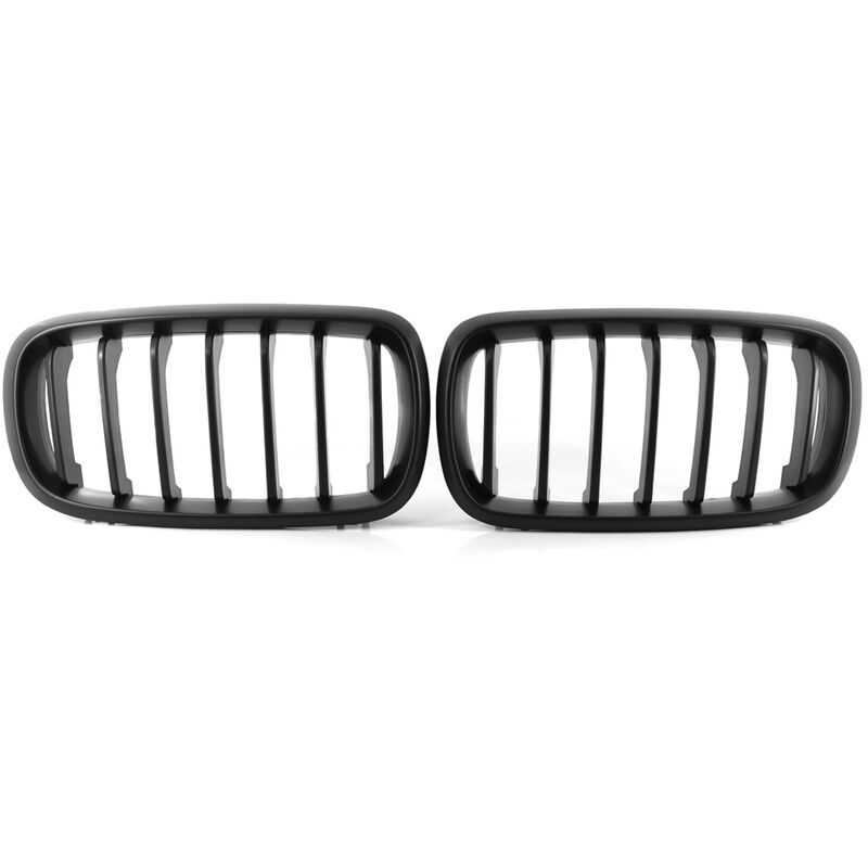 Sostituzione nera della griglia renale a paraurti
