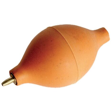 Soufflette de Nettoyage