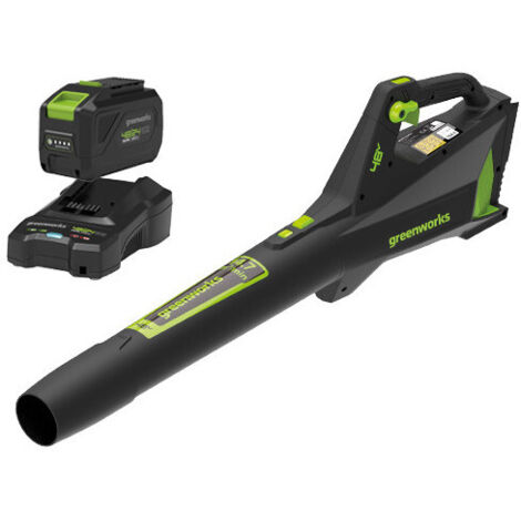 Souffleur axial sans fil 48 V avec kit 2 Ah et chargeur – Greenworks GD48ABK2