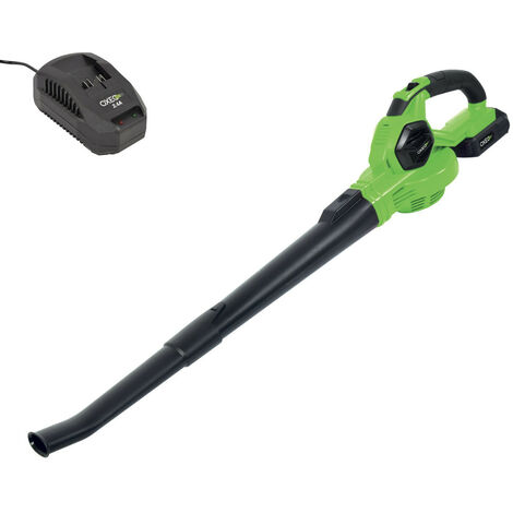 Souffleur batterie 18V Easy Full avec batterie 2Ah et chargeur - Feuilles mortes -  Vitesse Max 210 km/h - Léger ergonomique