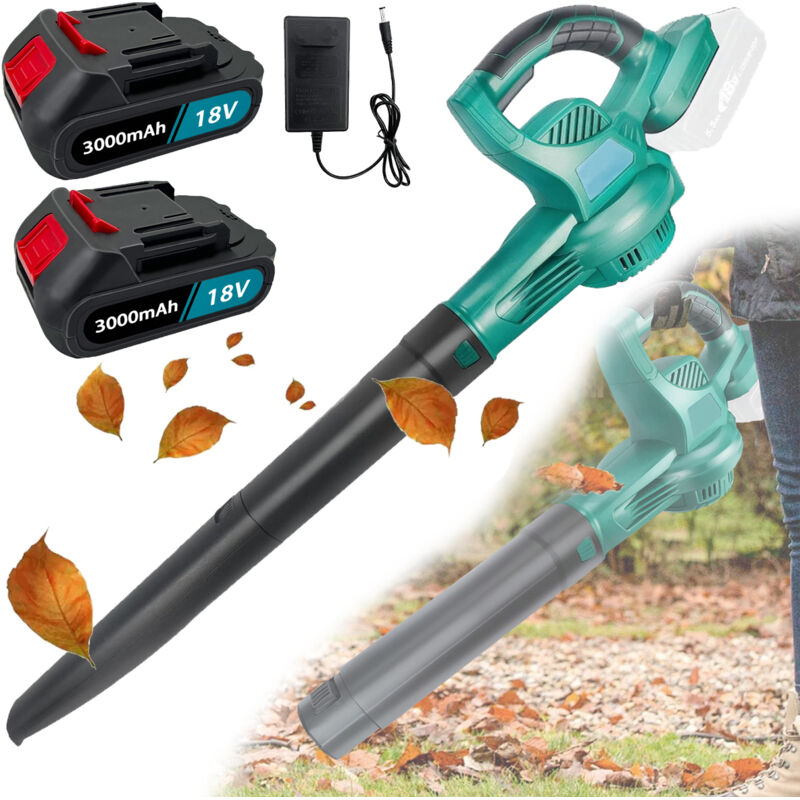 Souffleur d'air sans fil, nettoyeur électrique portatif robuste pour neige, poussière et feuilles, + 2 batteries 5,5 a + chargeur, compatible avec la