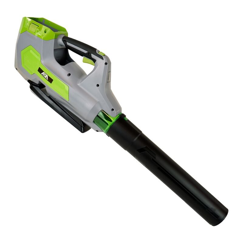 Souffleur de batterie 60V Akita