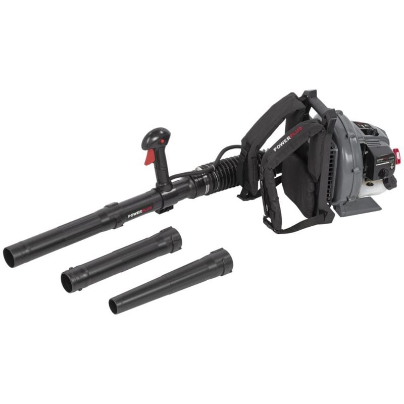 Powerplus Souffleur de Feuilles Thermique POWEG9020 - Souffleur à Essence de 26 cc, Vitesse d'Air Maximale de 280 km/h, Outillage de Jardin