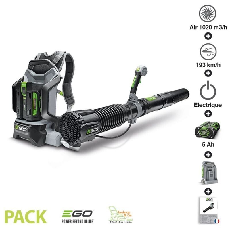 Pack souffleur professionnel 1020m3 heure batterie dorsale 5ah chargeur rapide Ego Power LB6002E