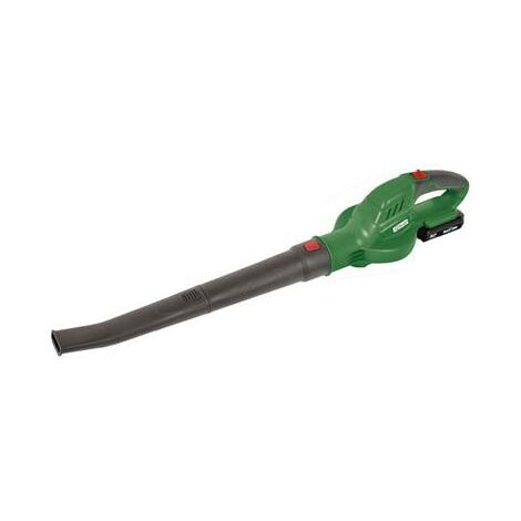 Souffleur R-BAT20 à batterie, 1 batterie 20v 2amp avec chargeur