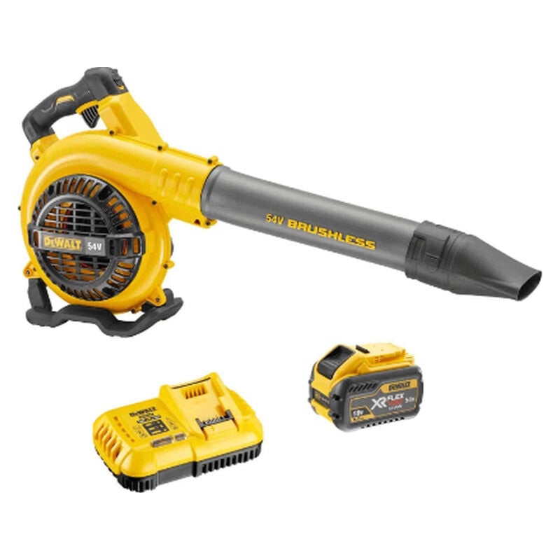 Dewalt - Souffleur 54V DCM572X1-QW avec coffret et une batterie 9 Ah flexvolt